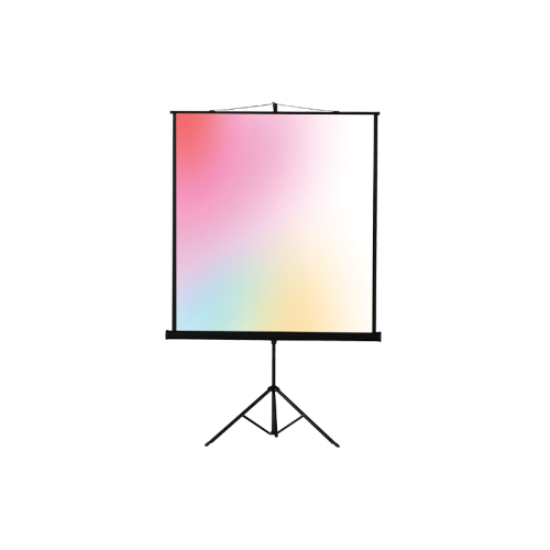 Экран Lumien Eco View (LEV-100109) White