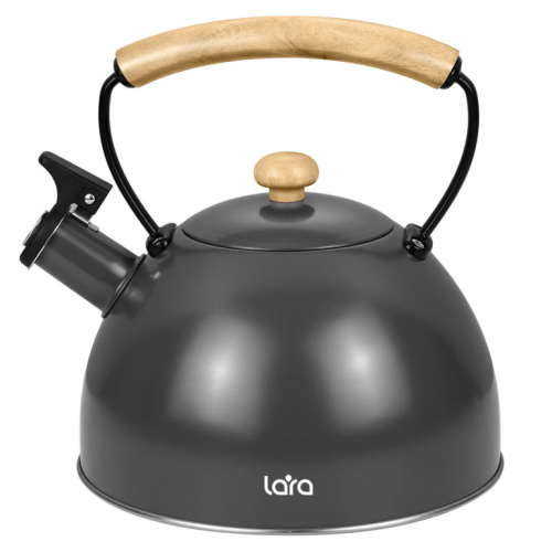 Чайник LARA LR00-92 серый 2.5л