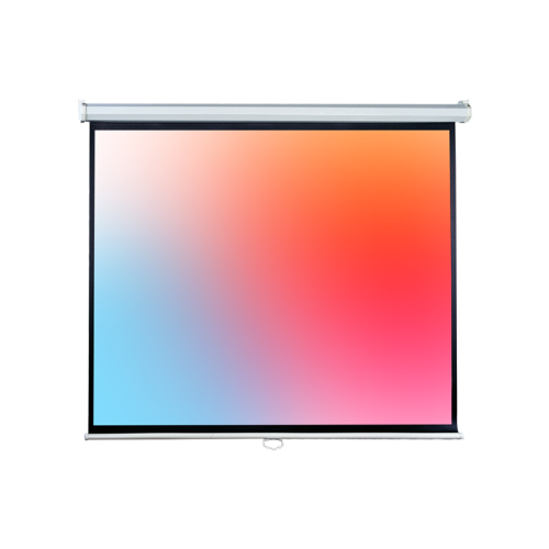 Экран Lumien Eco Picture (LEP-100123) White