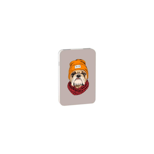 Power bank RITMIX RPB-10007 Bulldog