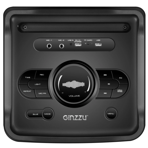 Акустическая система GINZZU GM-205