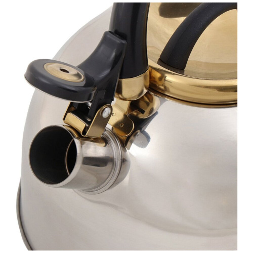 Чайник Daniks M-001PM Мадрид Голд нерж, 3л