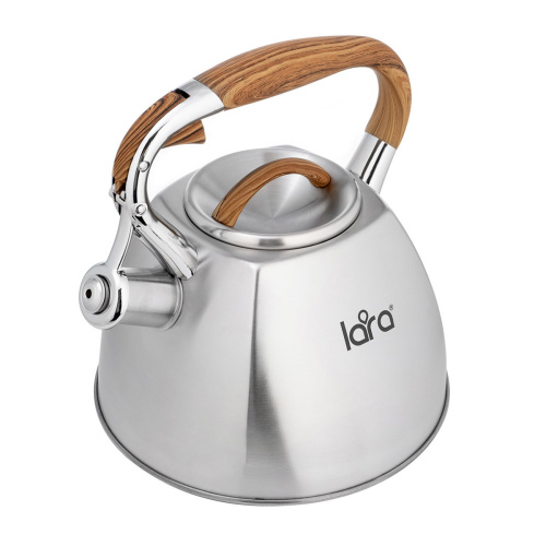 Чайник LARA LR00-66 зеркальный 2.8л