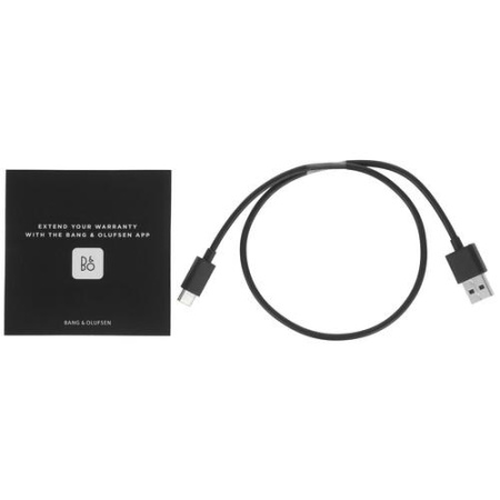 Наушники TWS Bang & Olufsen Beoplay EX черный