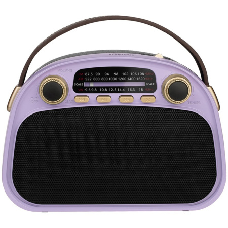 Радиоприемник RITMIX RPR-040 Lavender