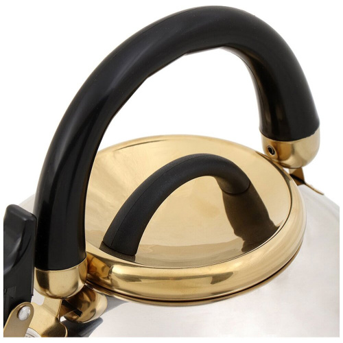 Чайник Daniks M-001PM Мадрид Голд нерж, 3л