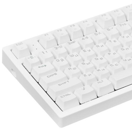 Клавиатура проводная ARDOR GAMING Immortality TKL